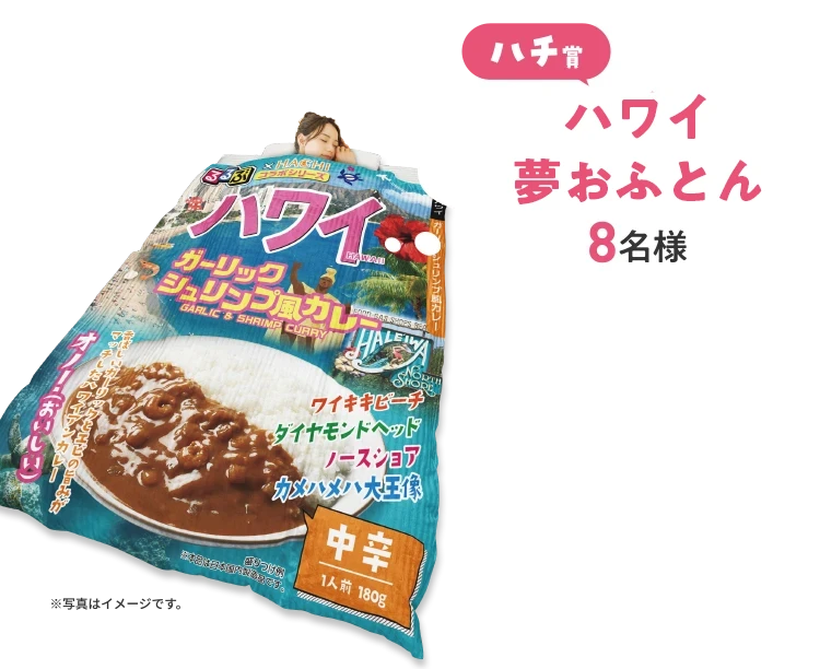 ハワイ夢おふとん8名様