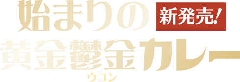 始まりの黄金鬱金カレー