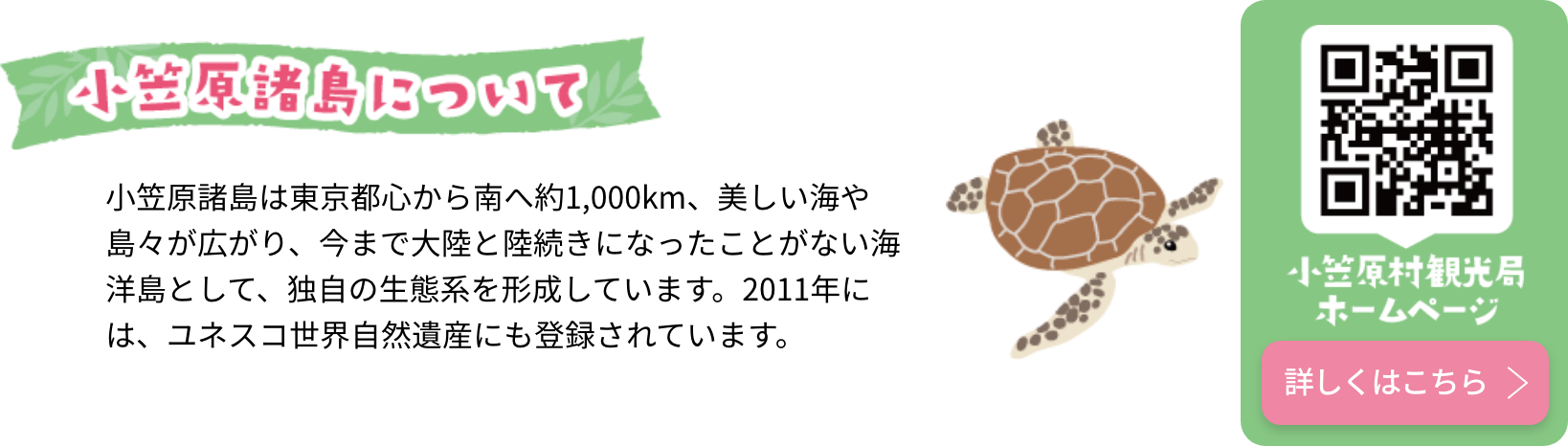 小笠原諸島について 小笠原諸島は東京都心から南へ約1,000km、美しい海や島々が広がり、今まで大陸と陸続きになったことがない海洋島として、独自の生態系を形成しています。2011年には、ユネスコ世界自然遺産にも登録されています。