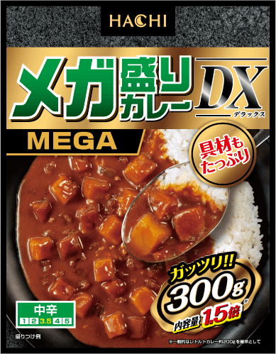 メガ盛りカレー DX中辛
