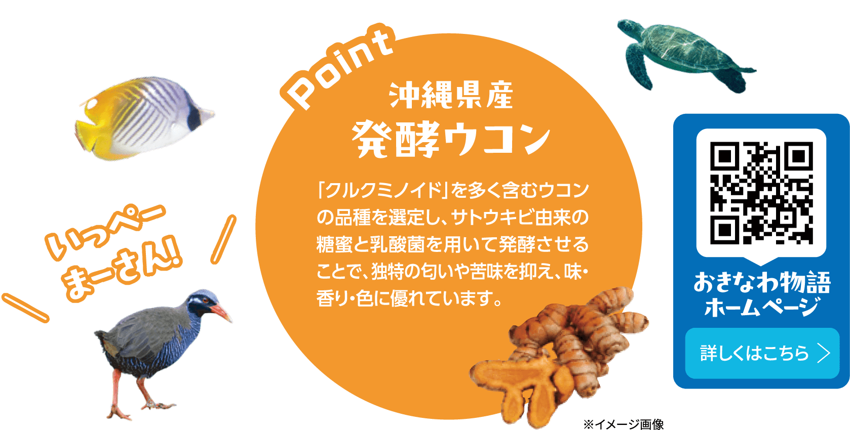 沖縄県産発酵ウコン 「クルクミノイド」を多く含むウコンの品種を選定し、サトウキビ由来の糖蜜と乳酸菌を用いて発酵させることで、独特の匂いや苦味を抑え、味・香り・色に優れています。