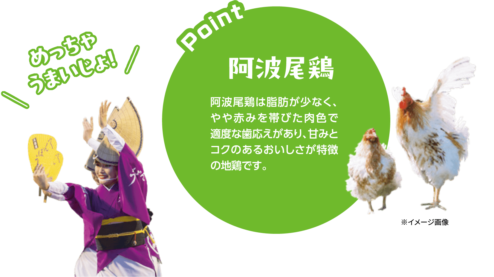 阿波尾鶏 阿波尾鶏は脂肪が少なく、やや赤みを帯びた肉色で適度な歯応えがあり、甘みとコクのあるおいしさが特徴の地鶏です。