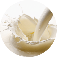 北海道産生クリーム