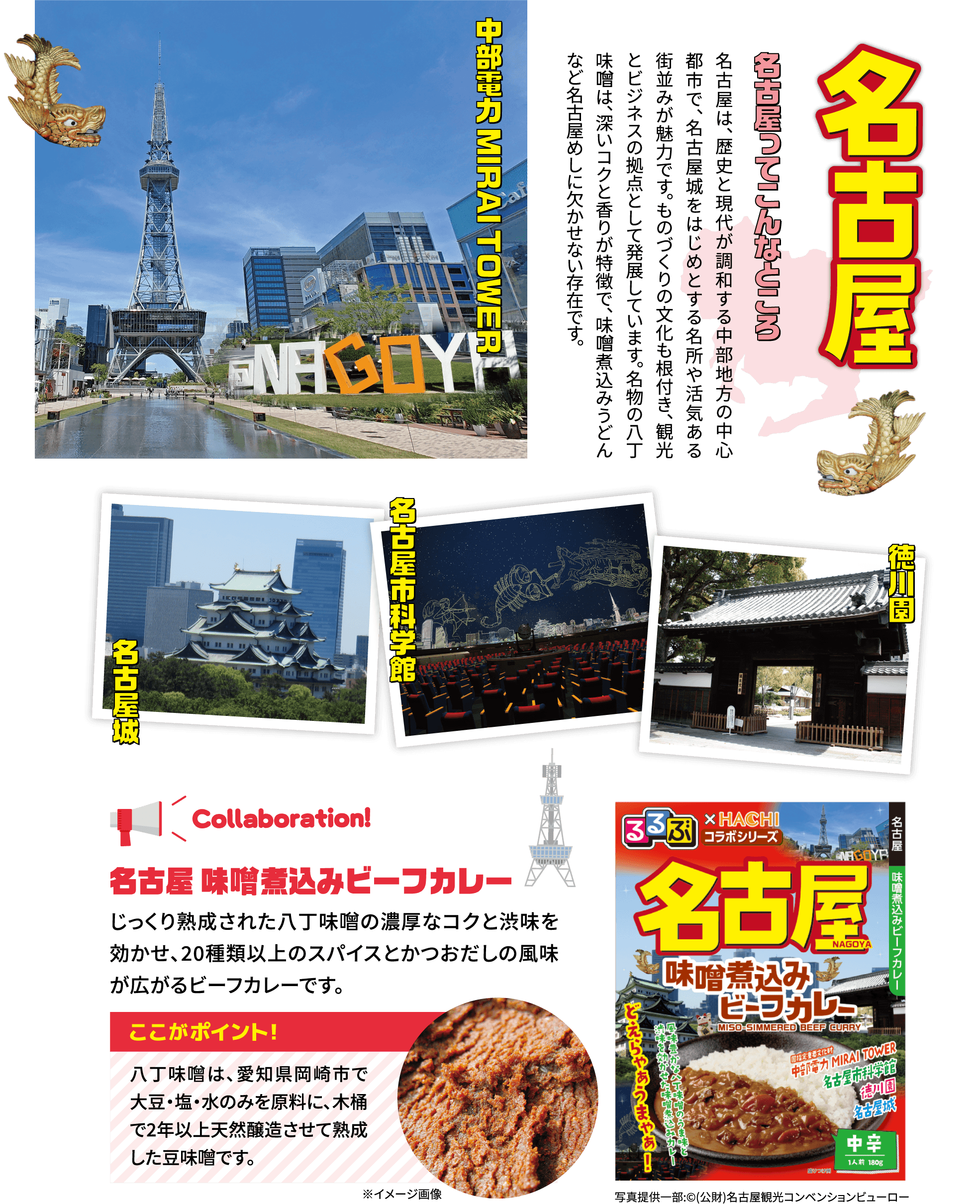 名古屋 味噌煮込みビーフカレー