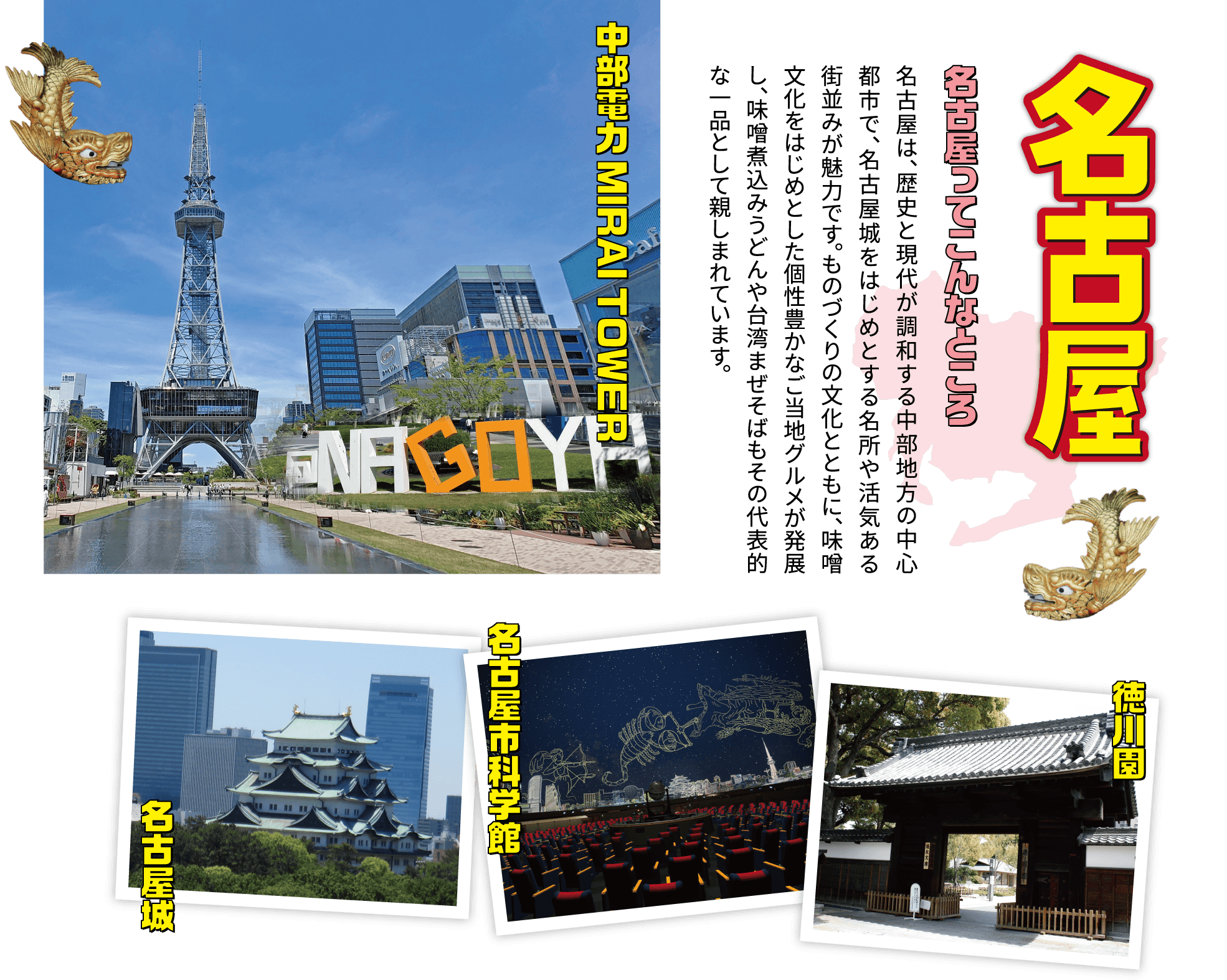 名古屋 味噌煮込みビーフカレー