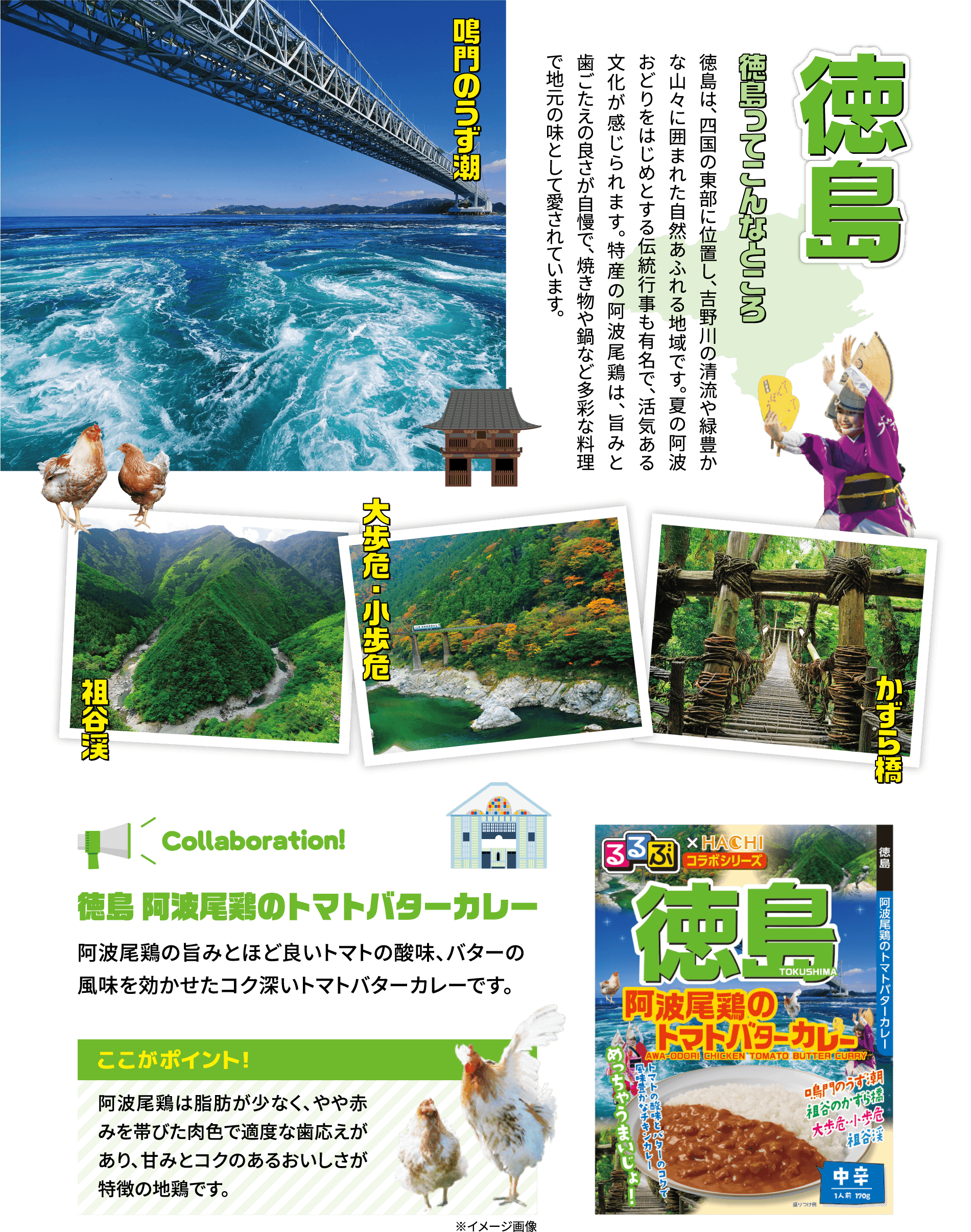 徳島 阿波尾鶏のトマトバターカレー