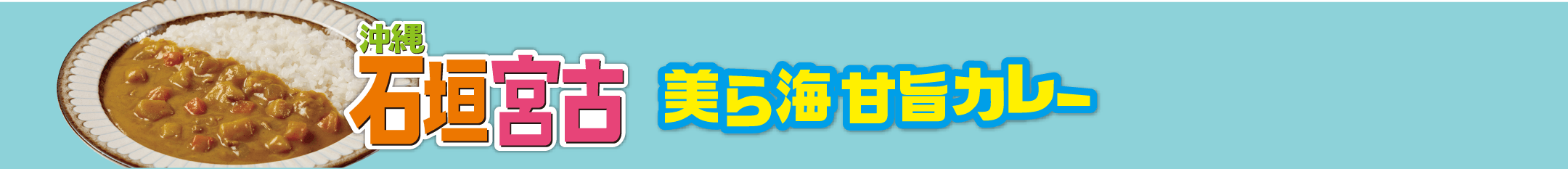 沖縄 石垣宮古美ら海甘旨カレー