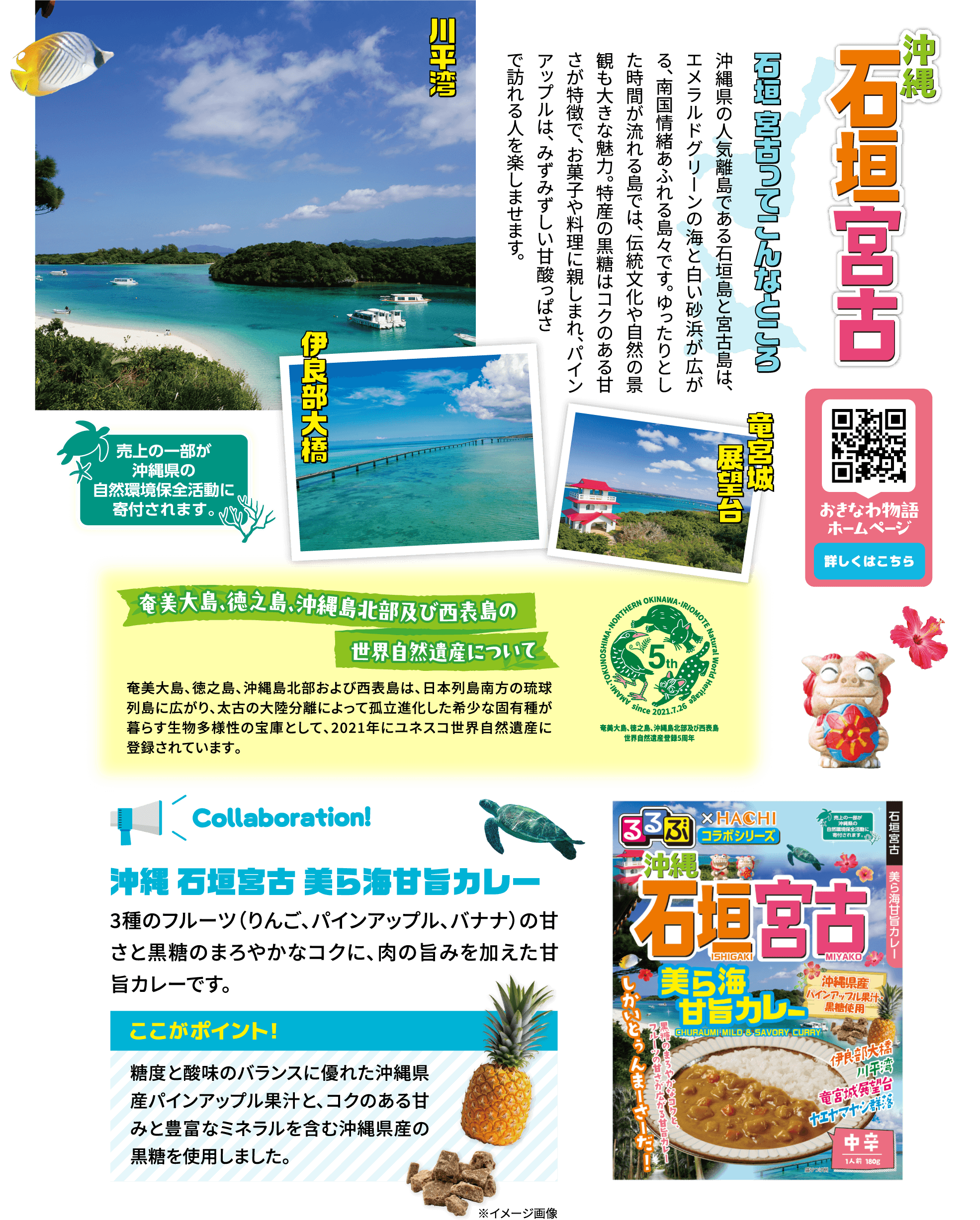 沖縄 石垣宮古美ら海甘旨カレー